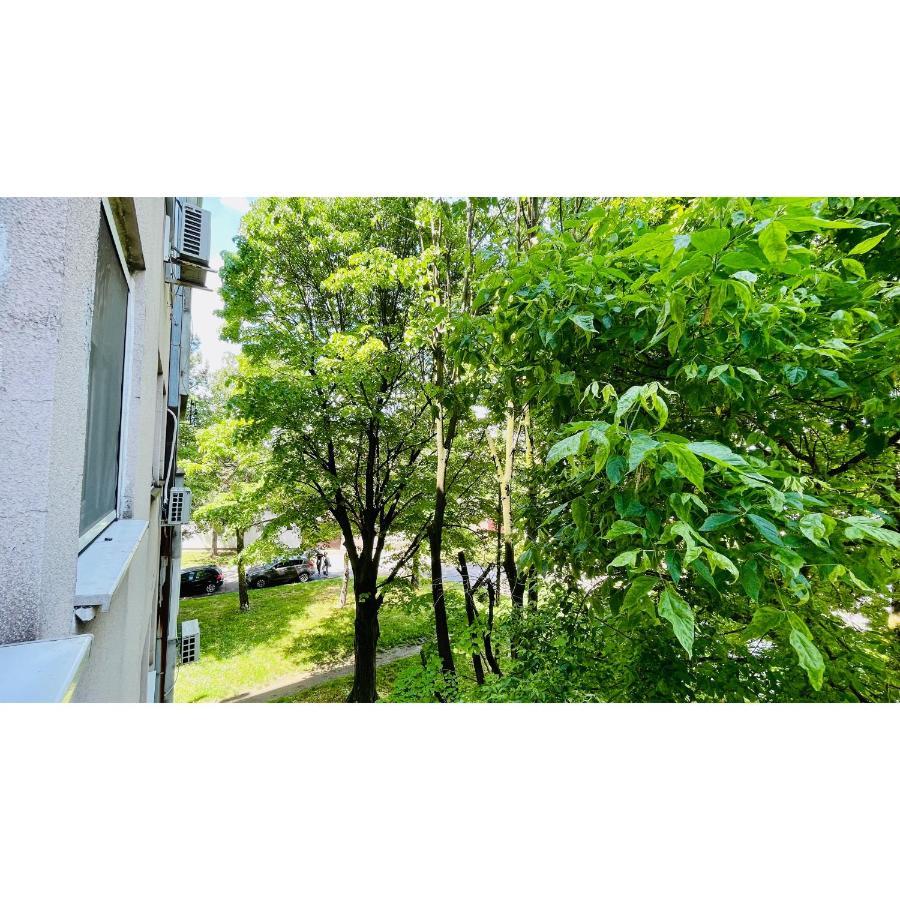 Apartman Jelena II Sremska Mitrovica Exterior foto